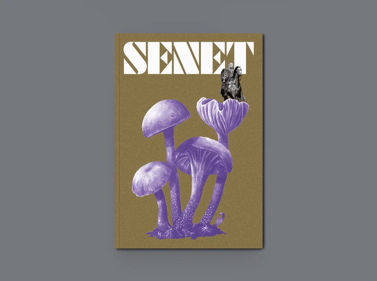 Senet Magazine - Issue 12 board game