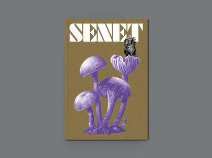 Senet Magazine - Issue 12 board game