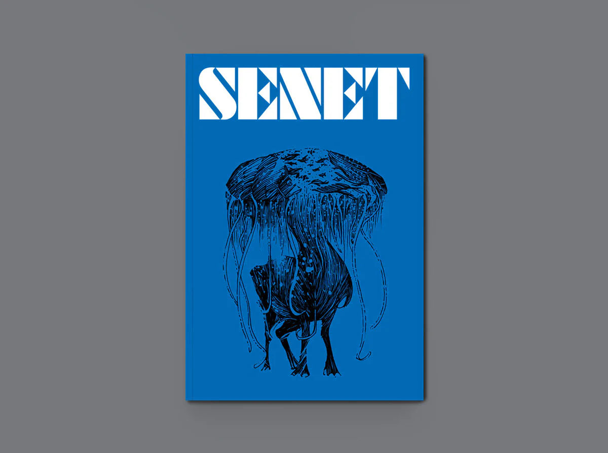 Senet Magazine - Issue 7 board game